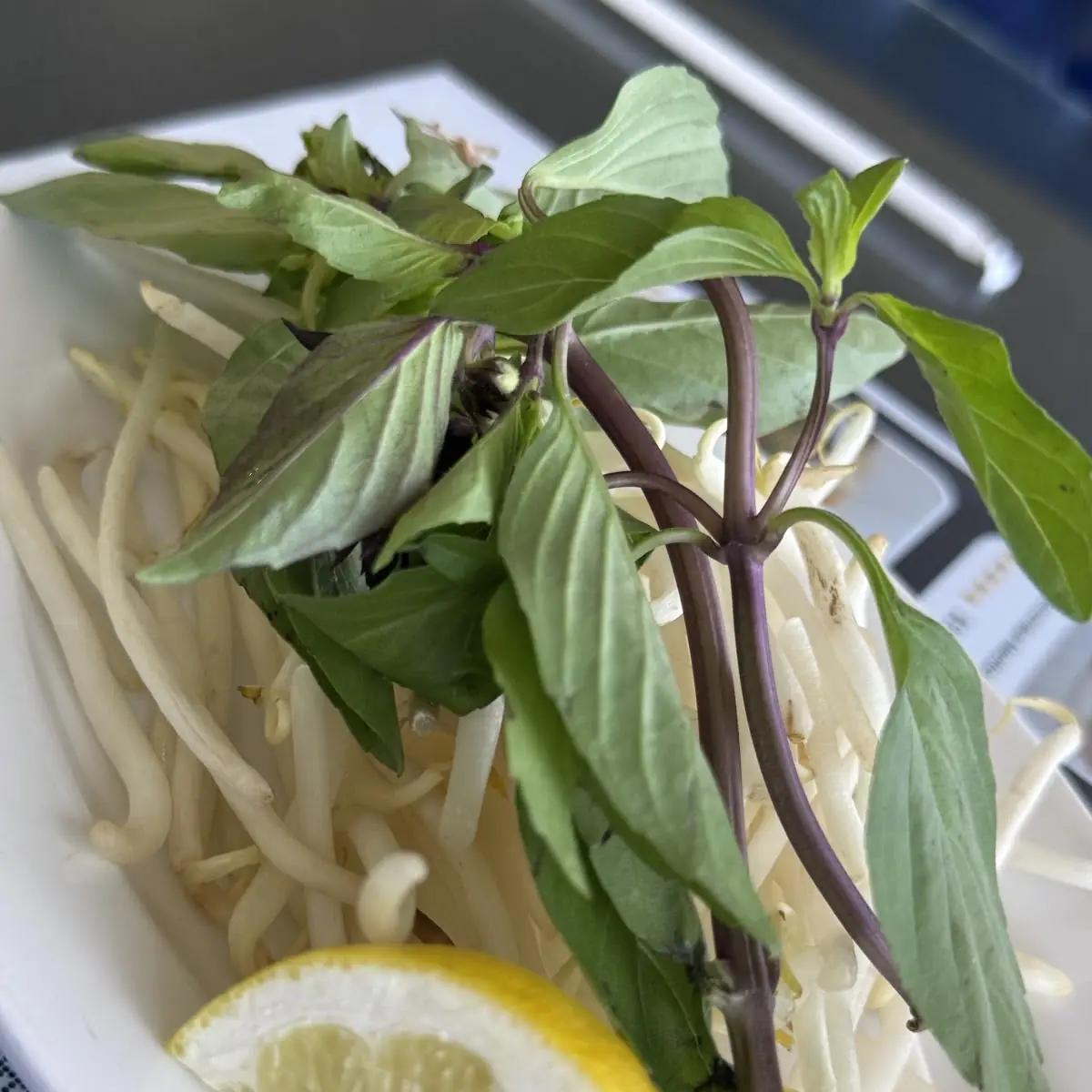 Thai Basil