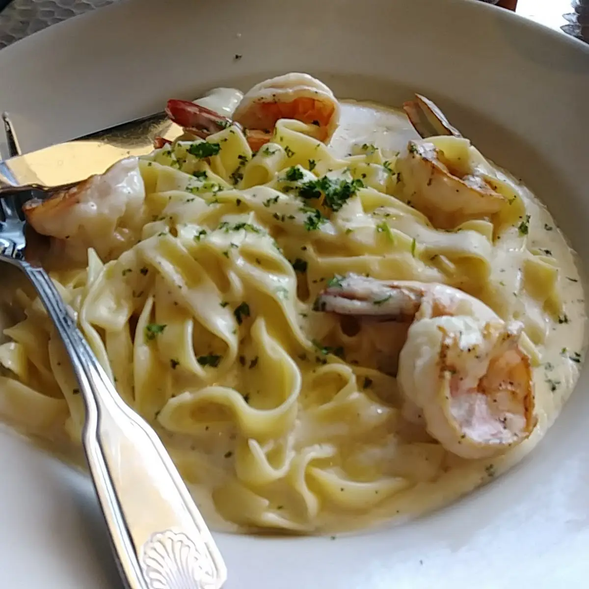 Shrimp Alfredo