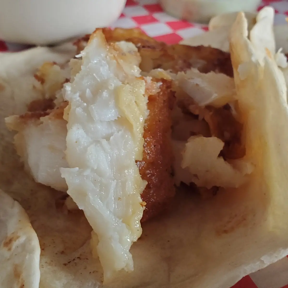Tacos De Pork Belly