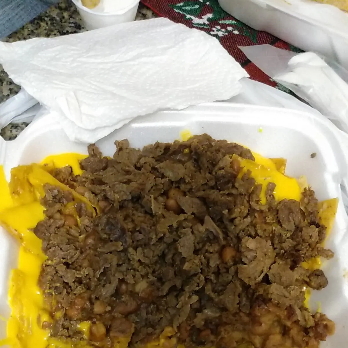 Carne Asada Fries