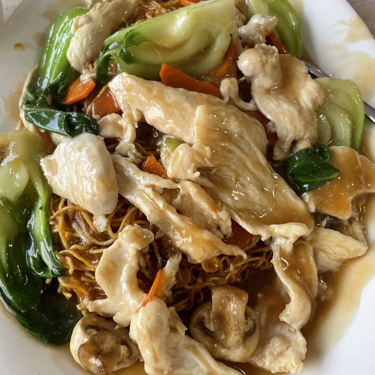 Pan-Fried Noodles with Chicken