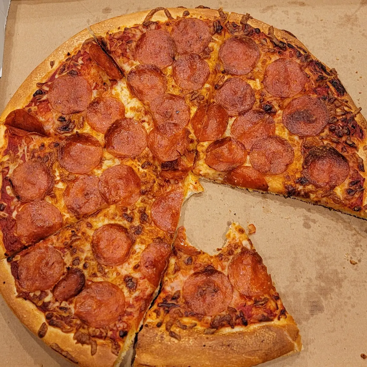 Meat Pizza