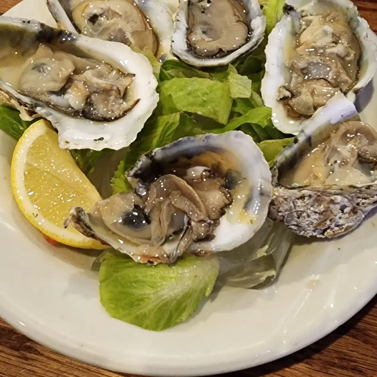 Raw Oysters on the Half Shell