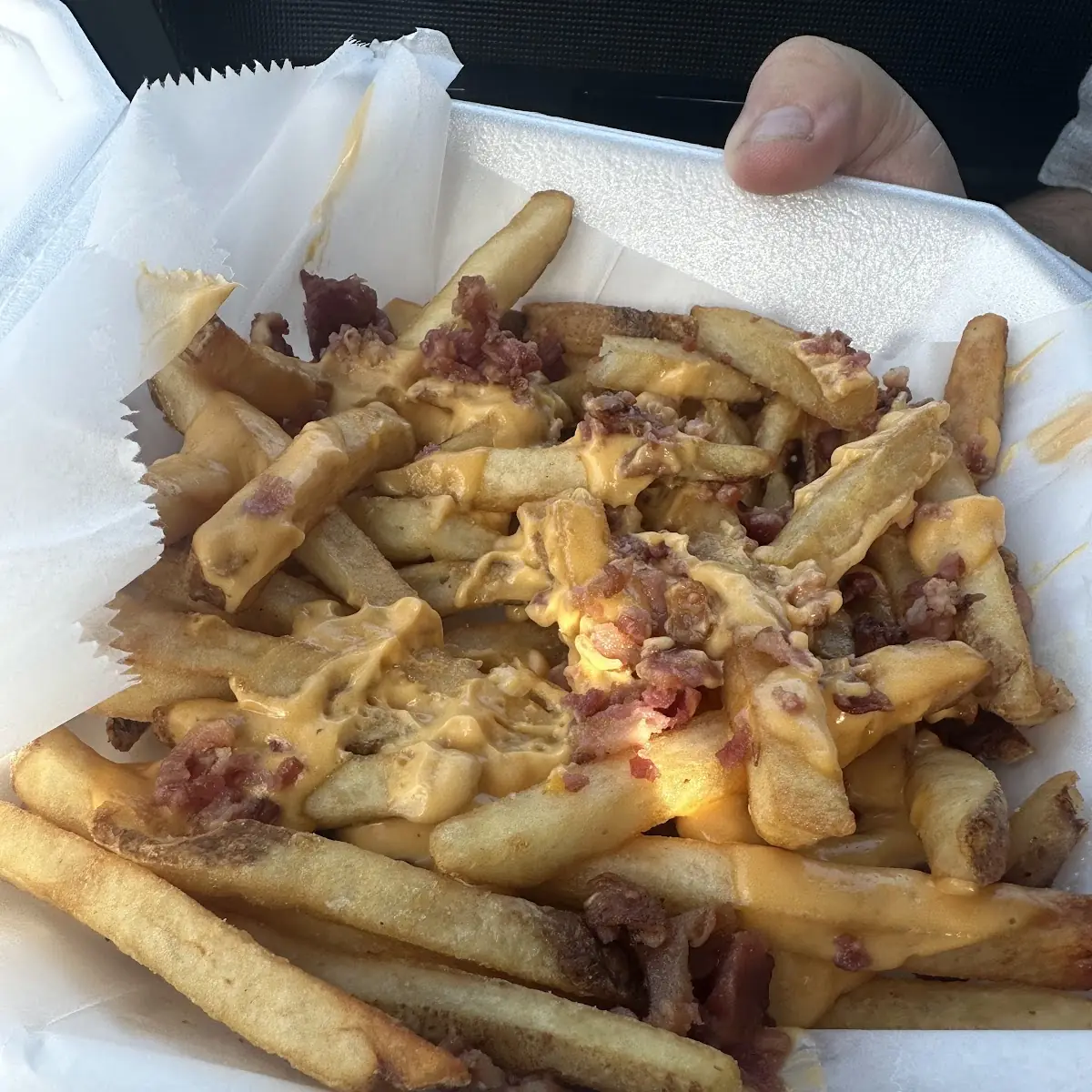 Loaded Fries
