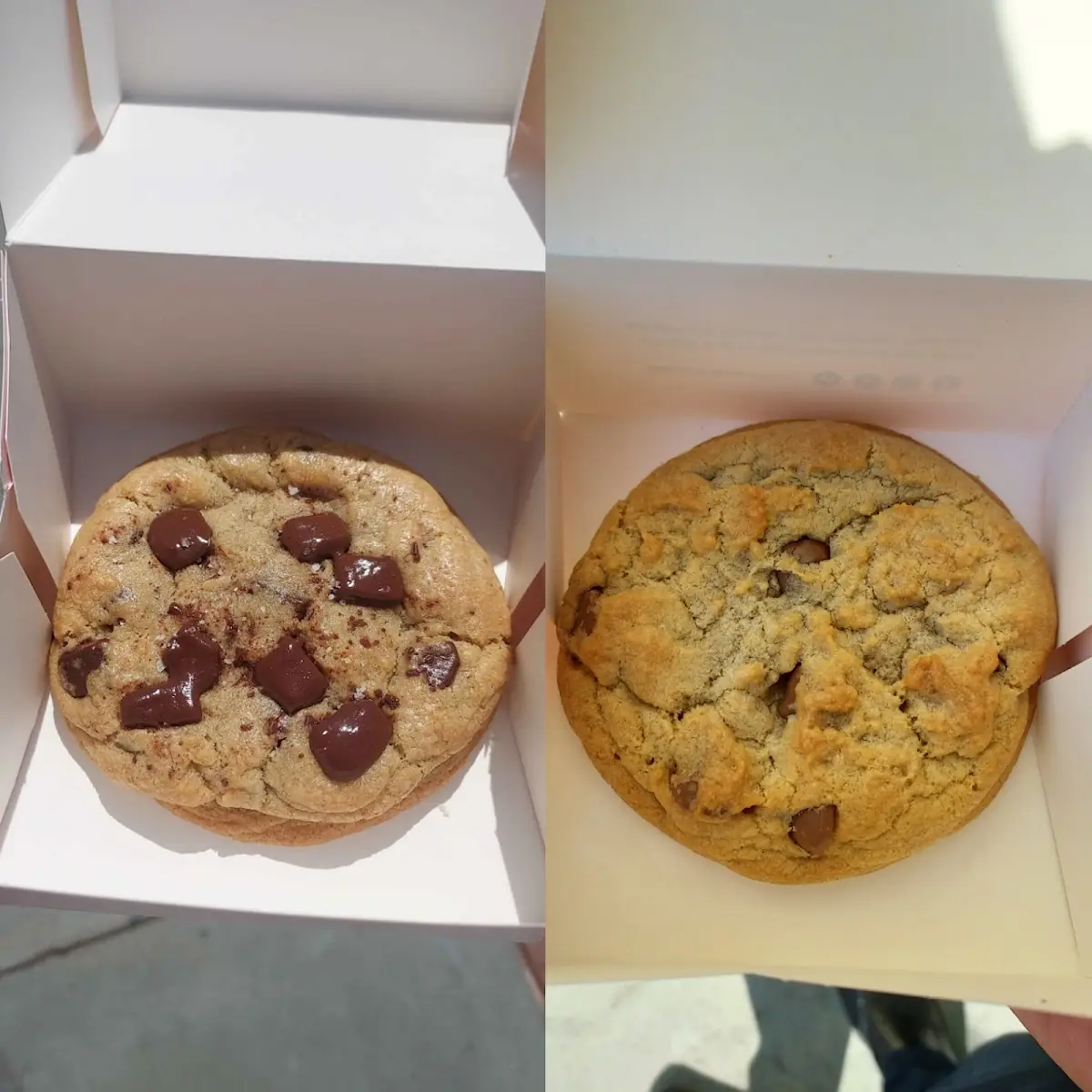 Chocolate Chip Cookie