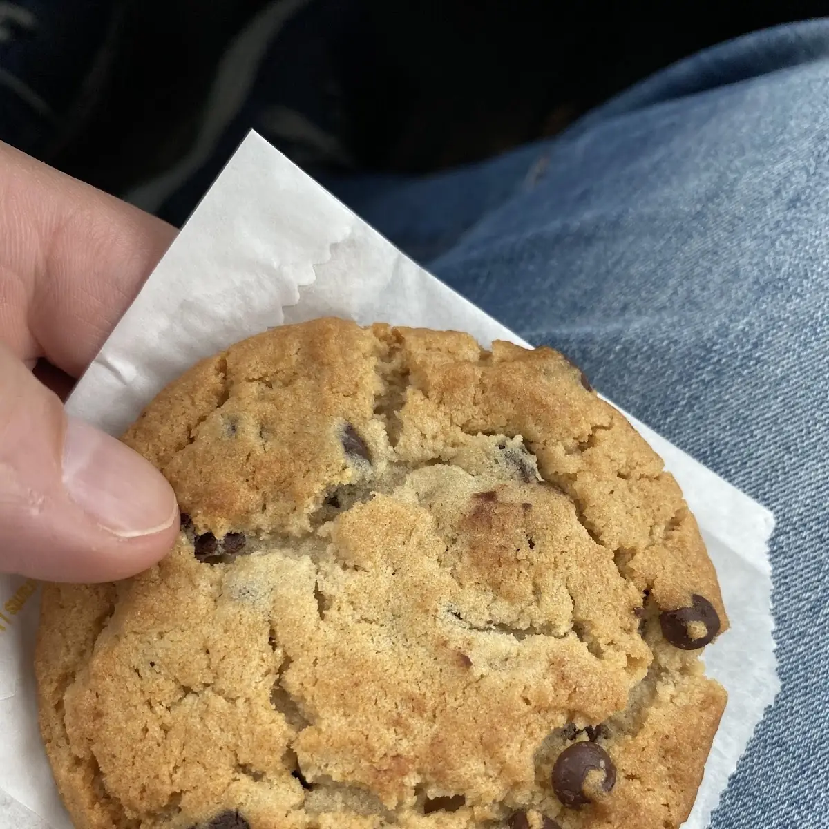 Chocolate Chip Cookie
