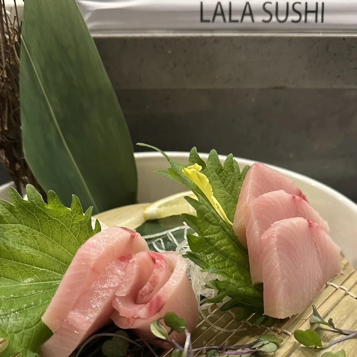Spanish Mackerel Aji Sashimi