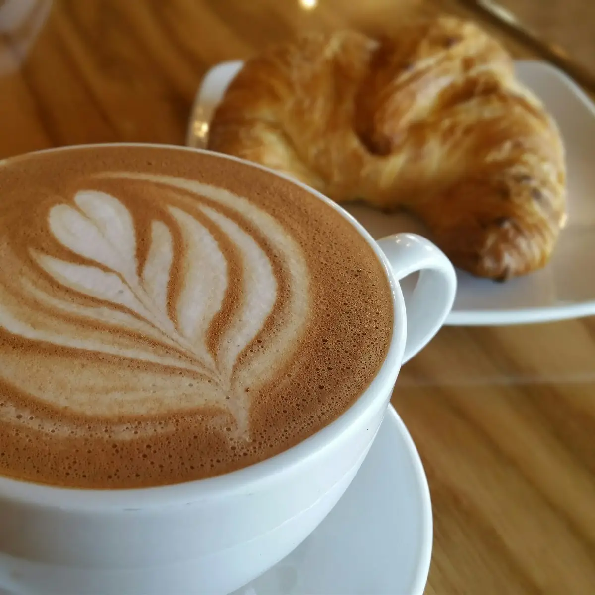 Dark Chocolate Mocha
