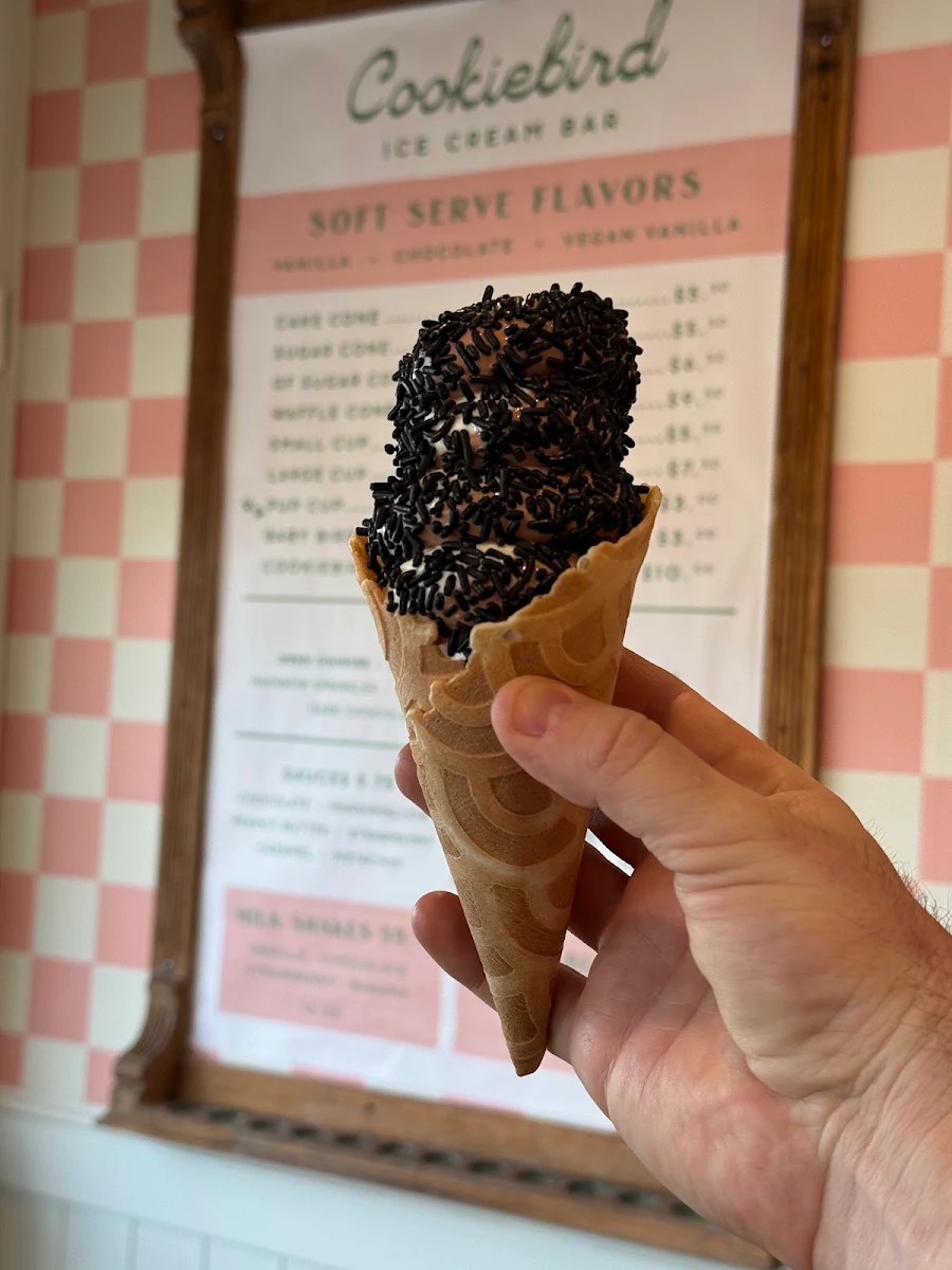 Vanilla Cone with Chocolate Sprinkles