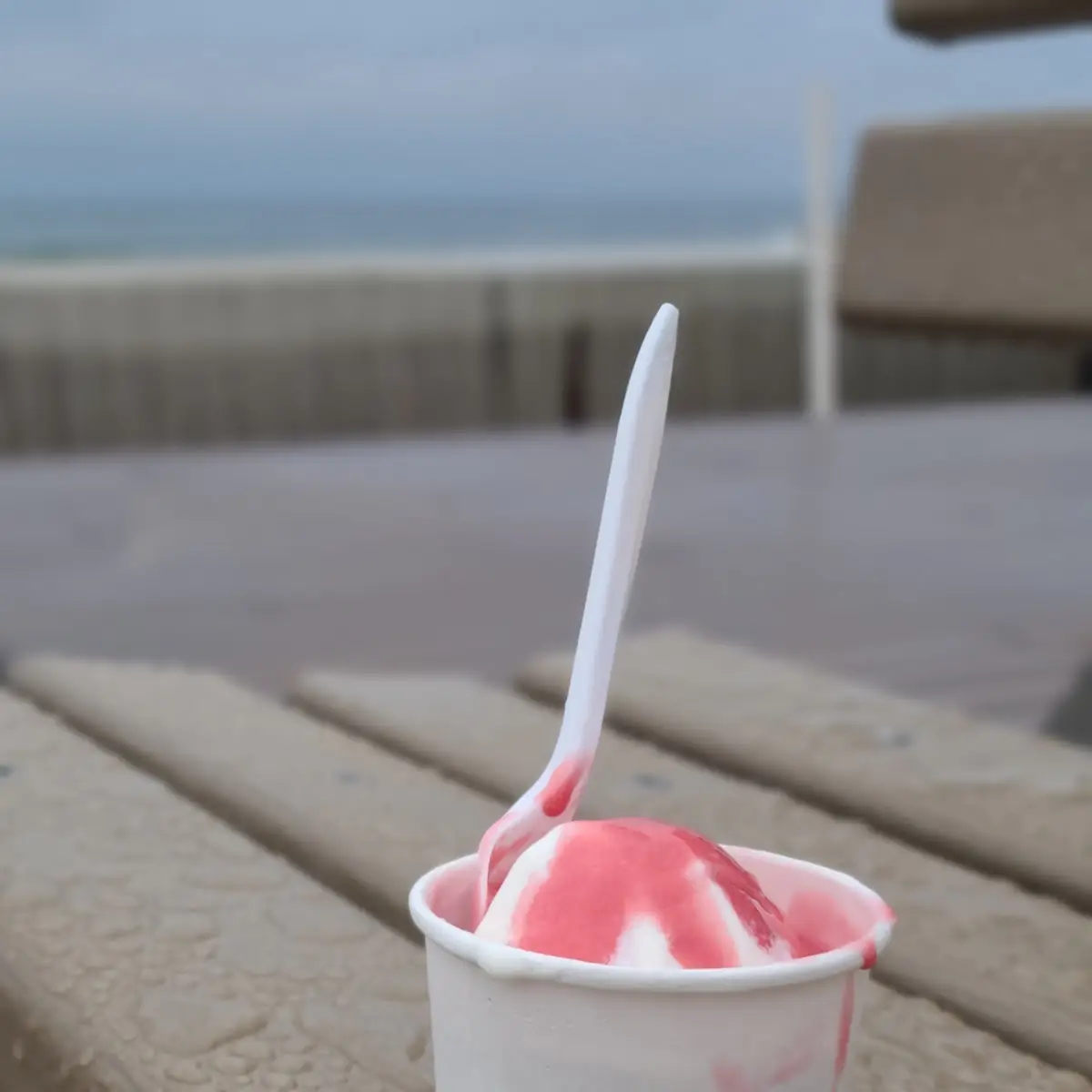 Vanilla Soft Serve Raspberry Sorbet