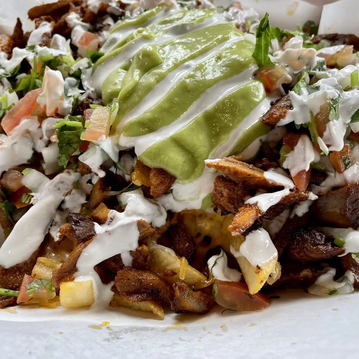 Carne Asada Fries
