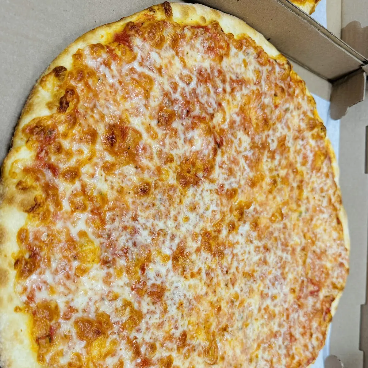 Cheese Pizza