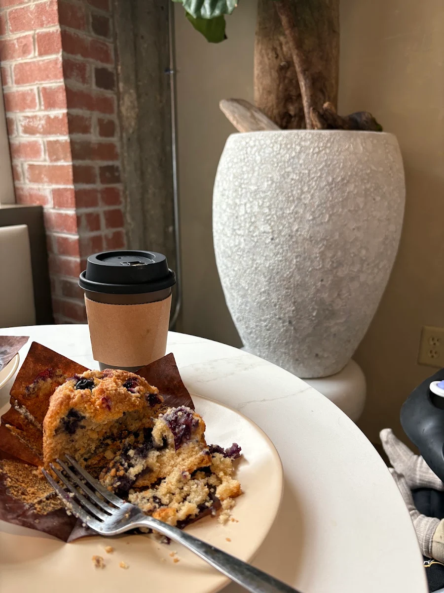 Blueberry Muffin