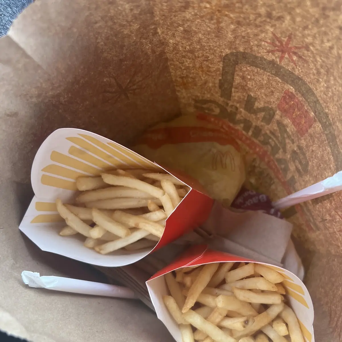 World Famous Fries