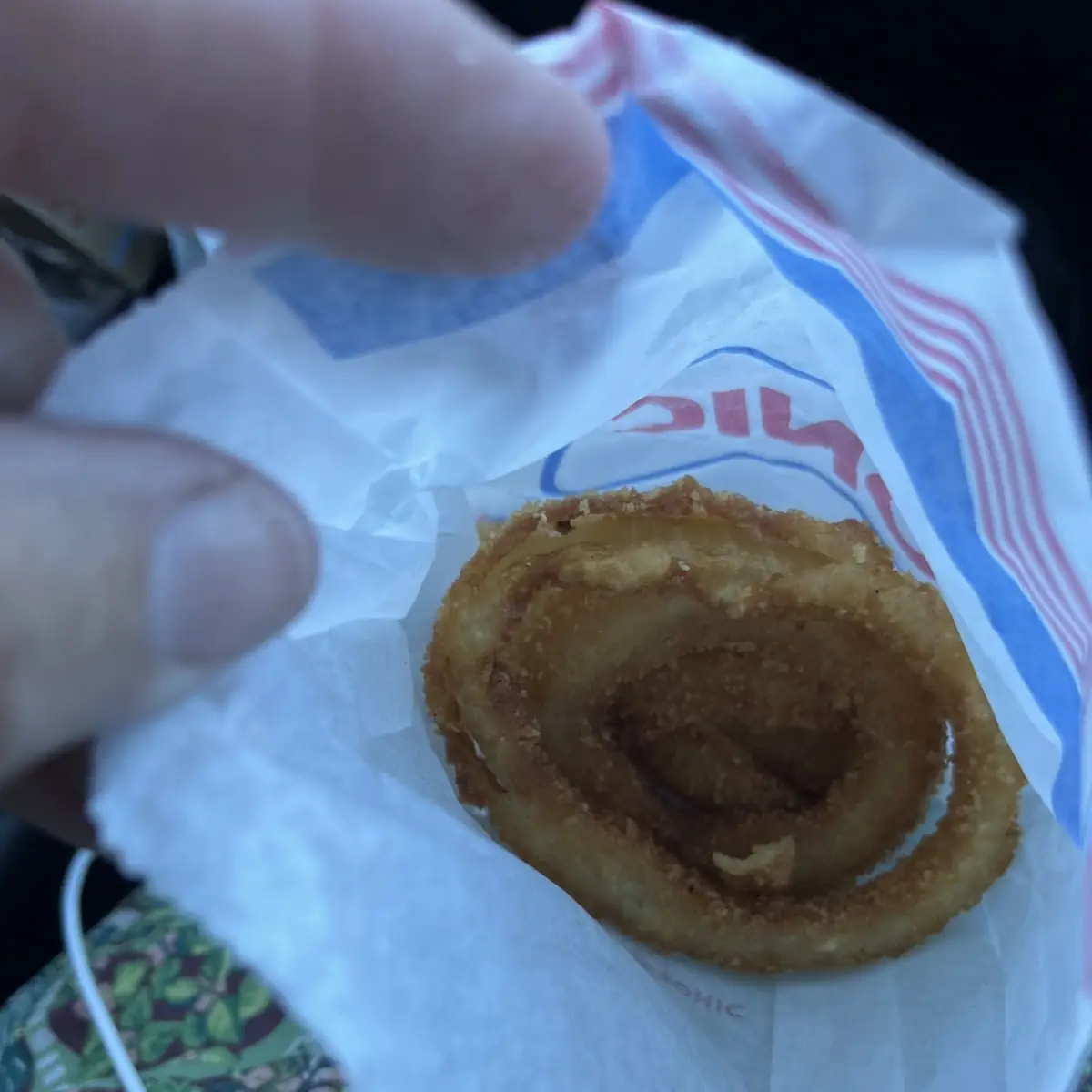 Hand Made Onion Rings