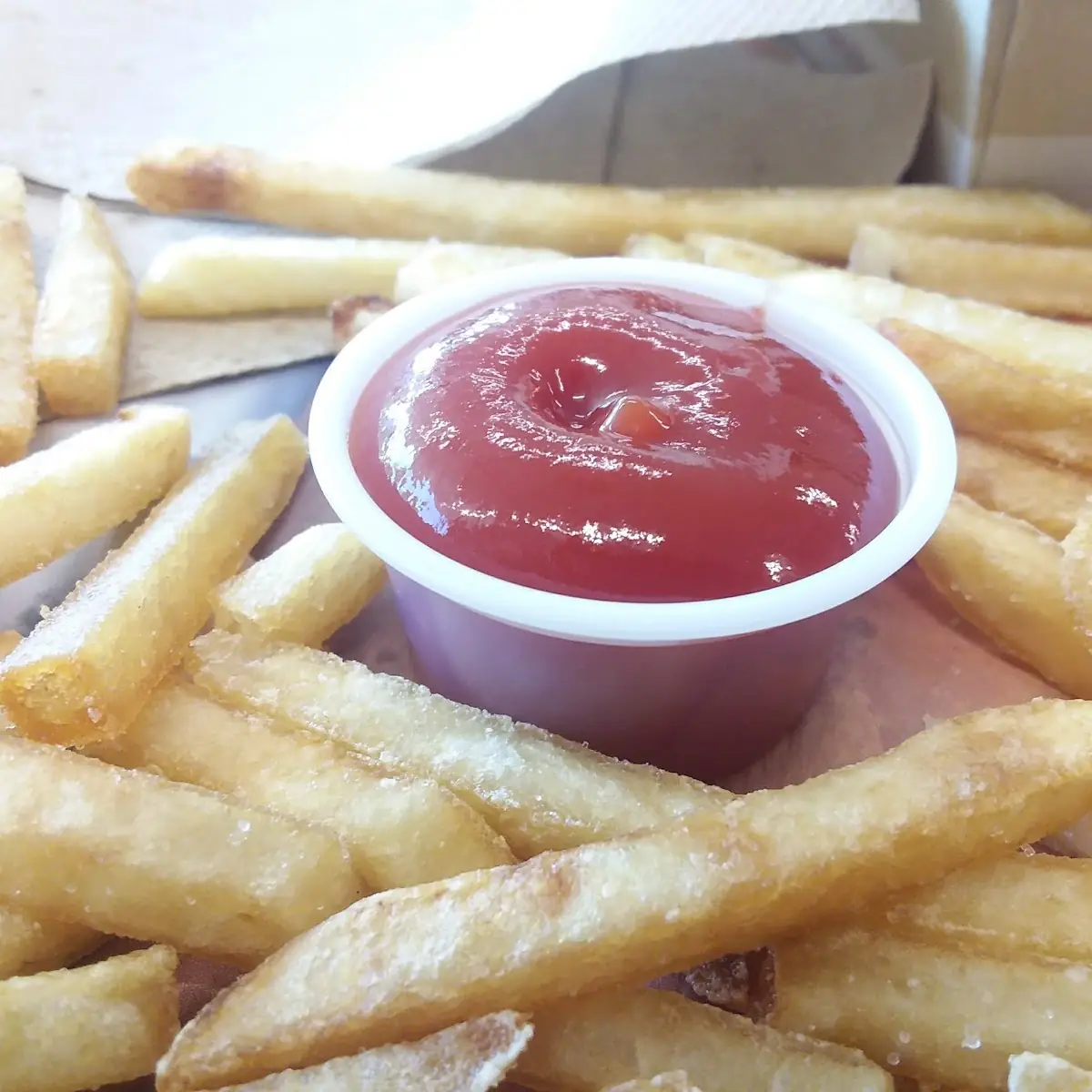 World Famous Fries