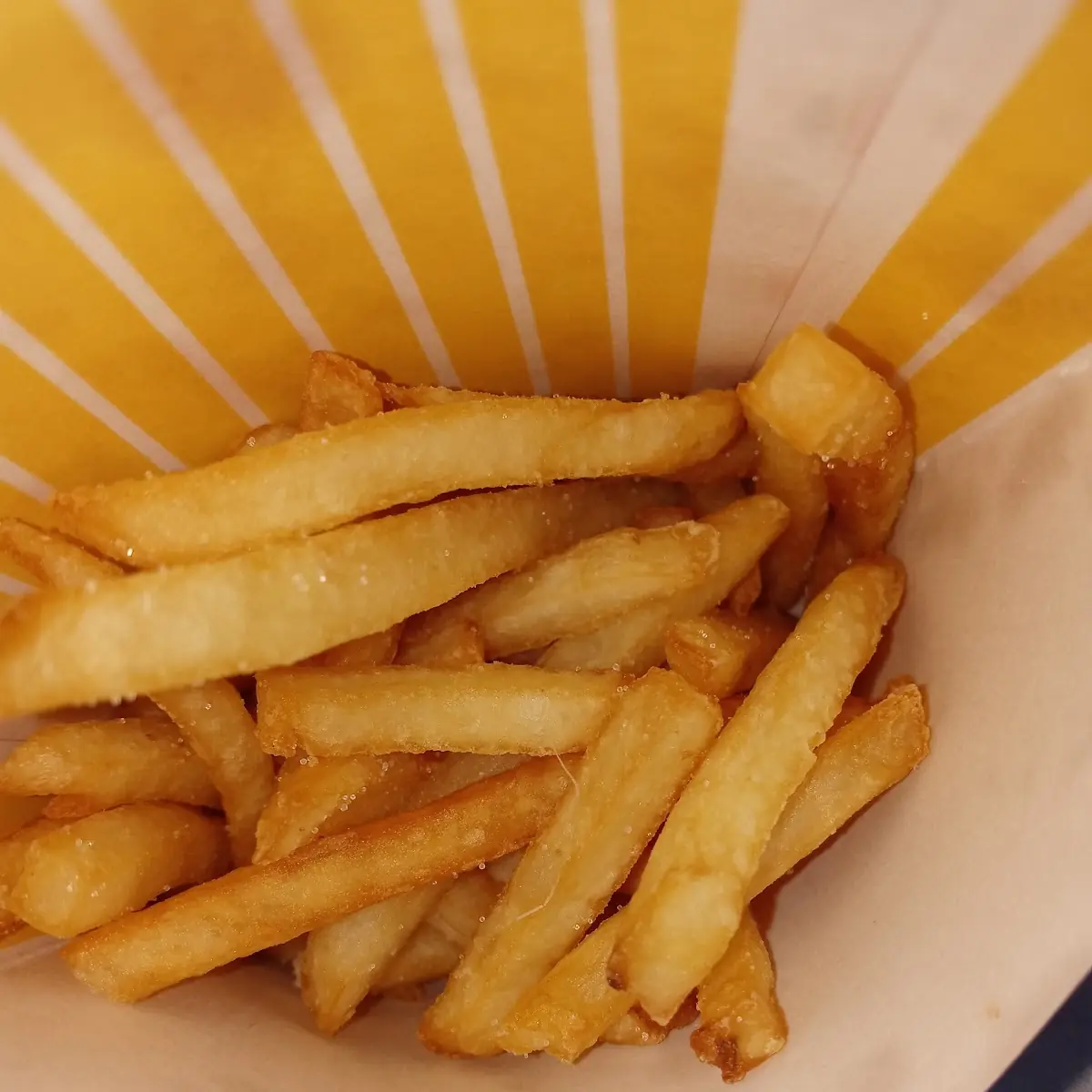 World Famous Fries