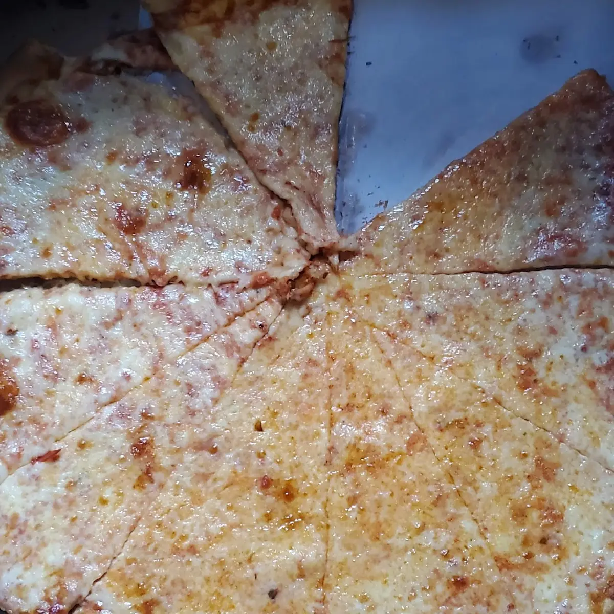 Plain Pizza