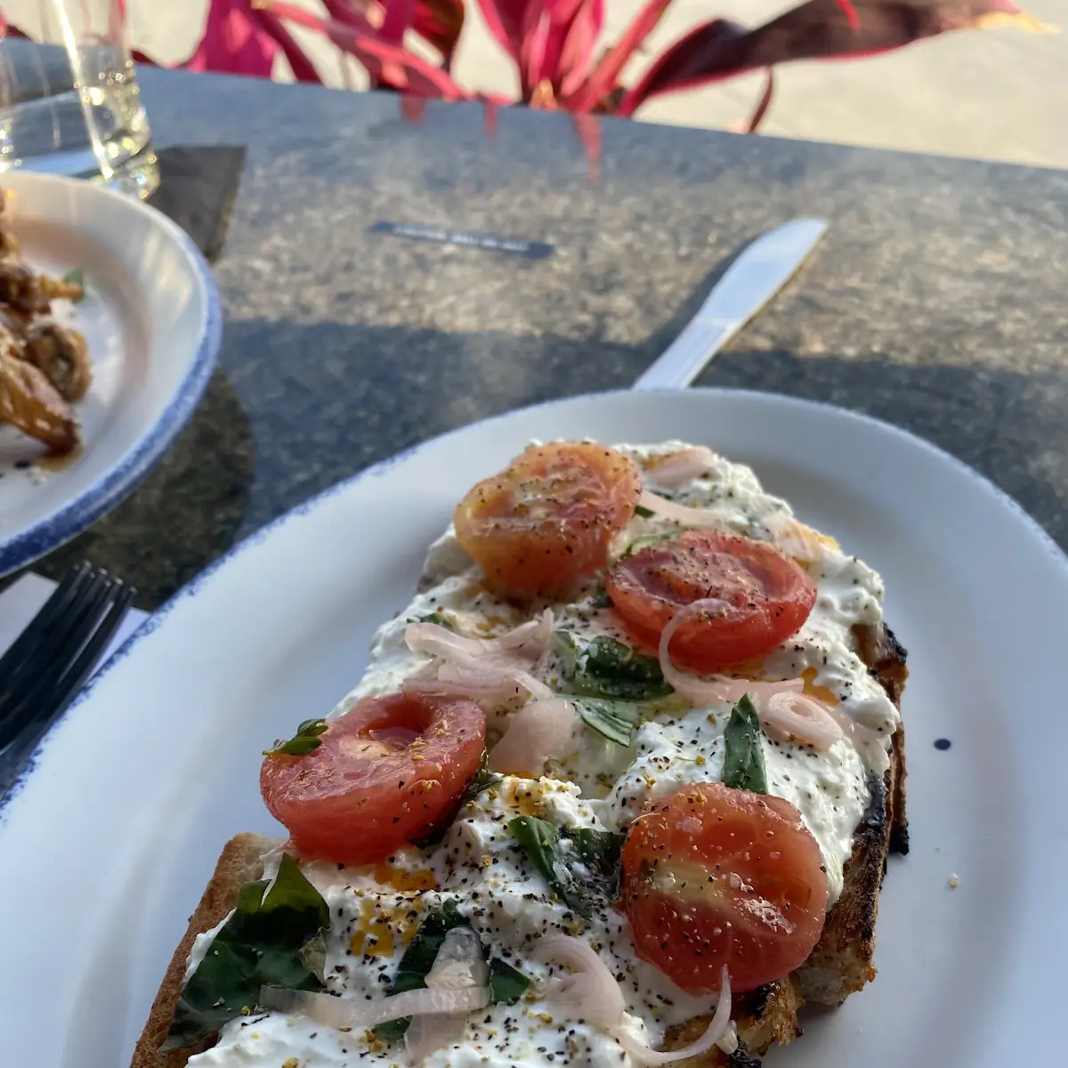 Burrata Toast
