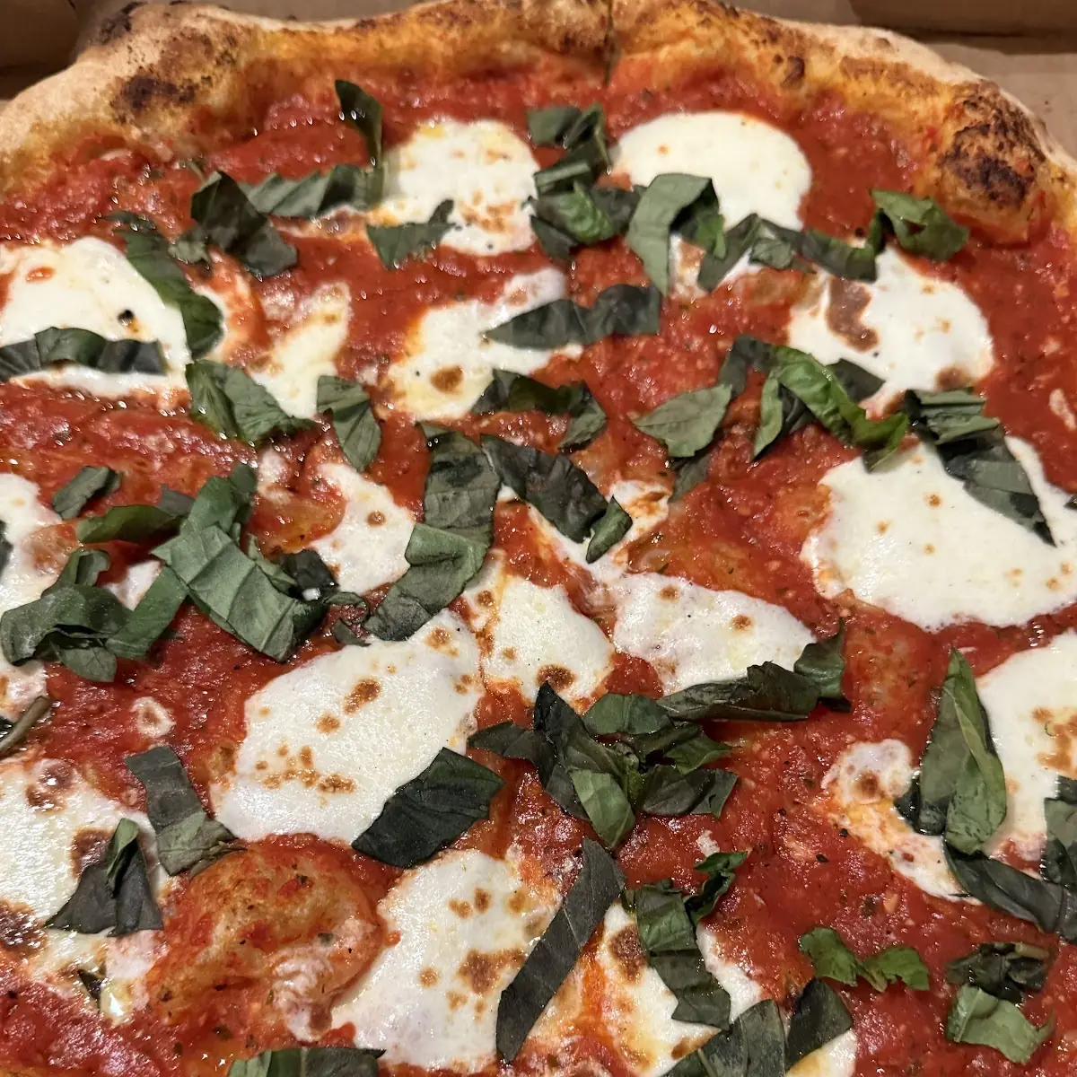 Wood-Fired Margherita Pizza