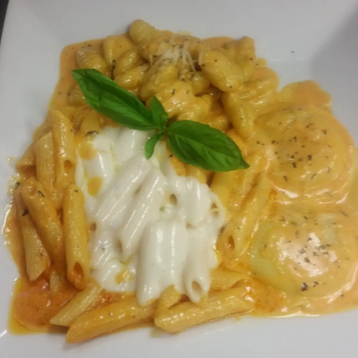 Cheese Ravioli Gnocchi