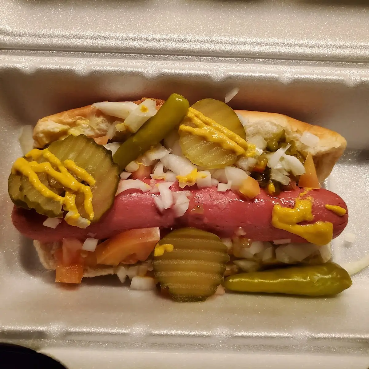 Chicago Style Hot Dog