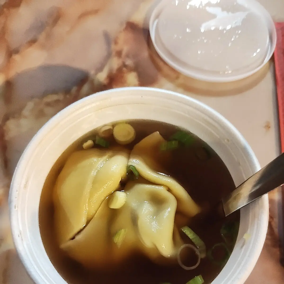Won Ton Soup