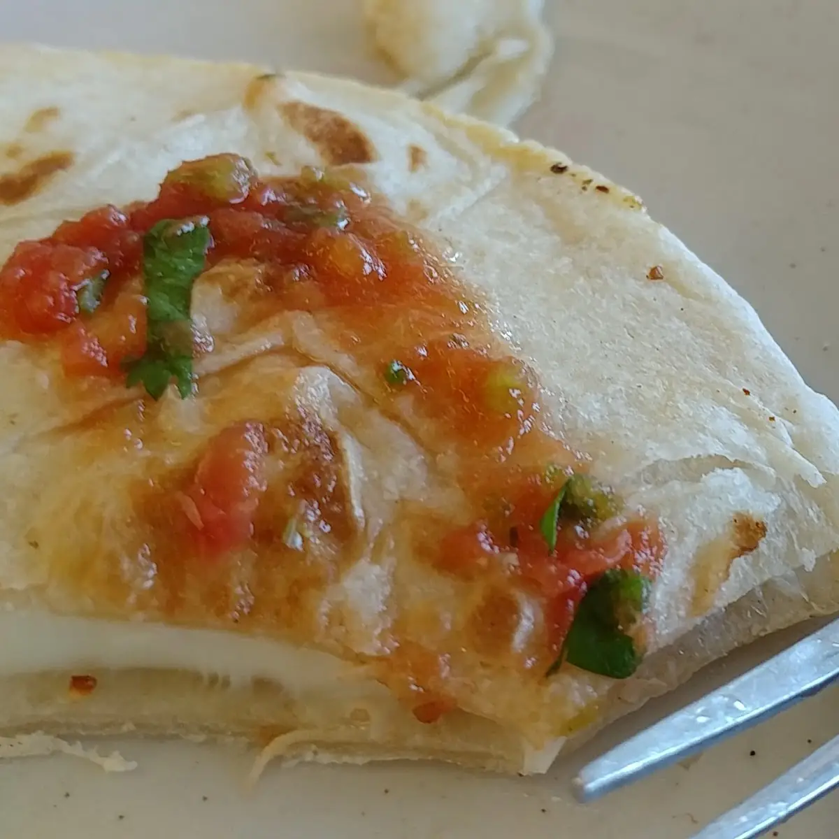 Soft Shell Taco