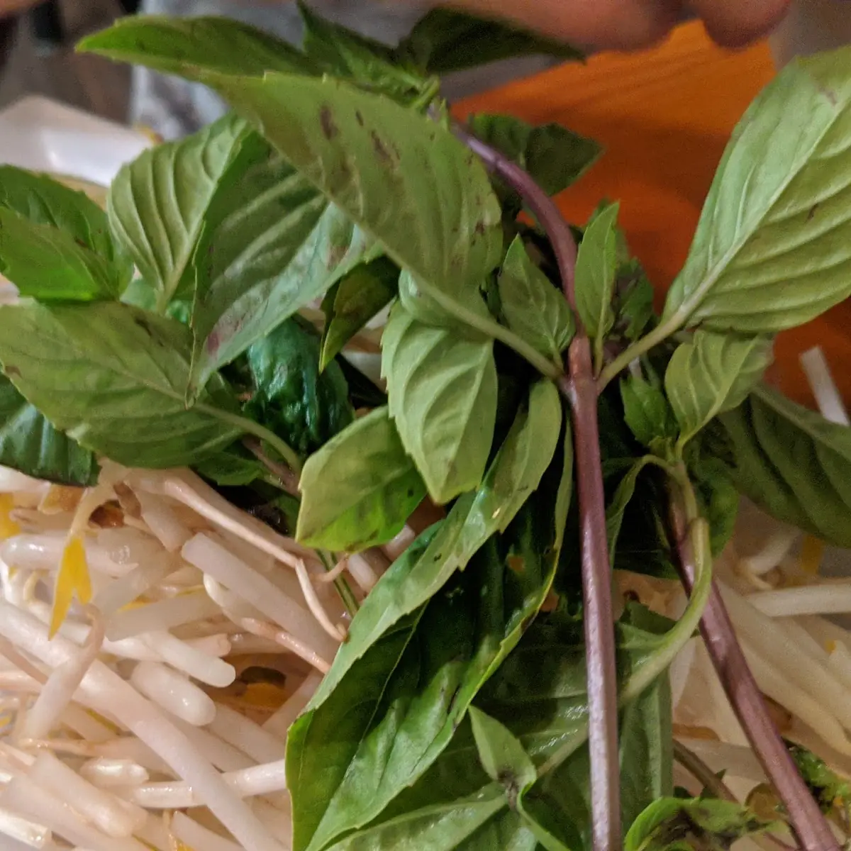Thai Basil
