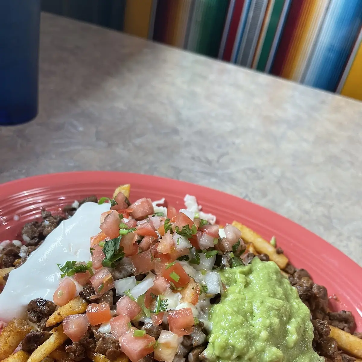 Carne Asada Fries