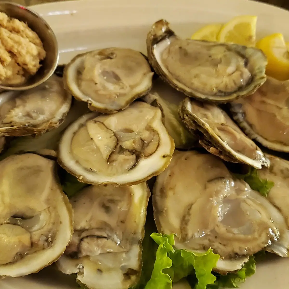 Dozen Oysters on the Half Shell