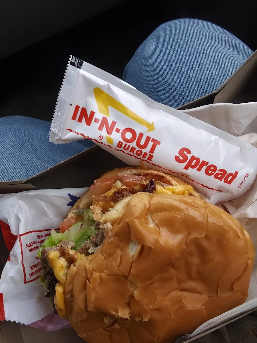 Double Double Cheese Burger Extra Sauce