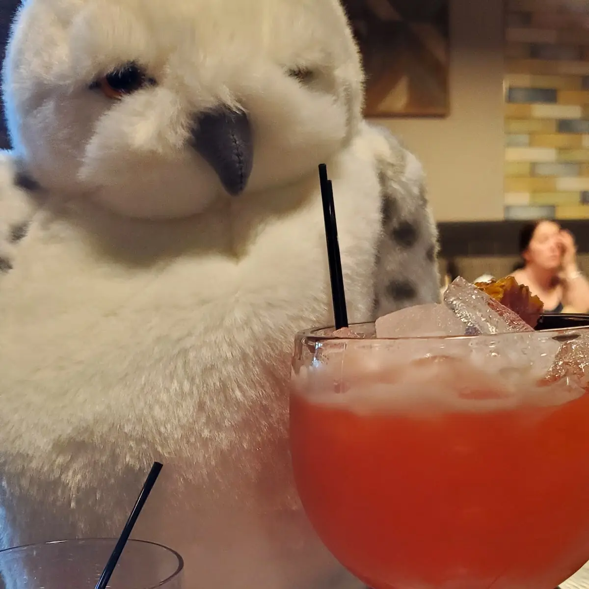Rocky Mountain Rum Punch