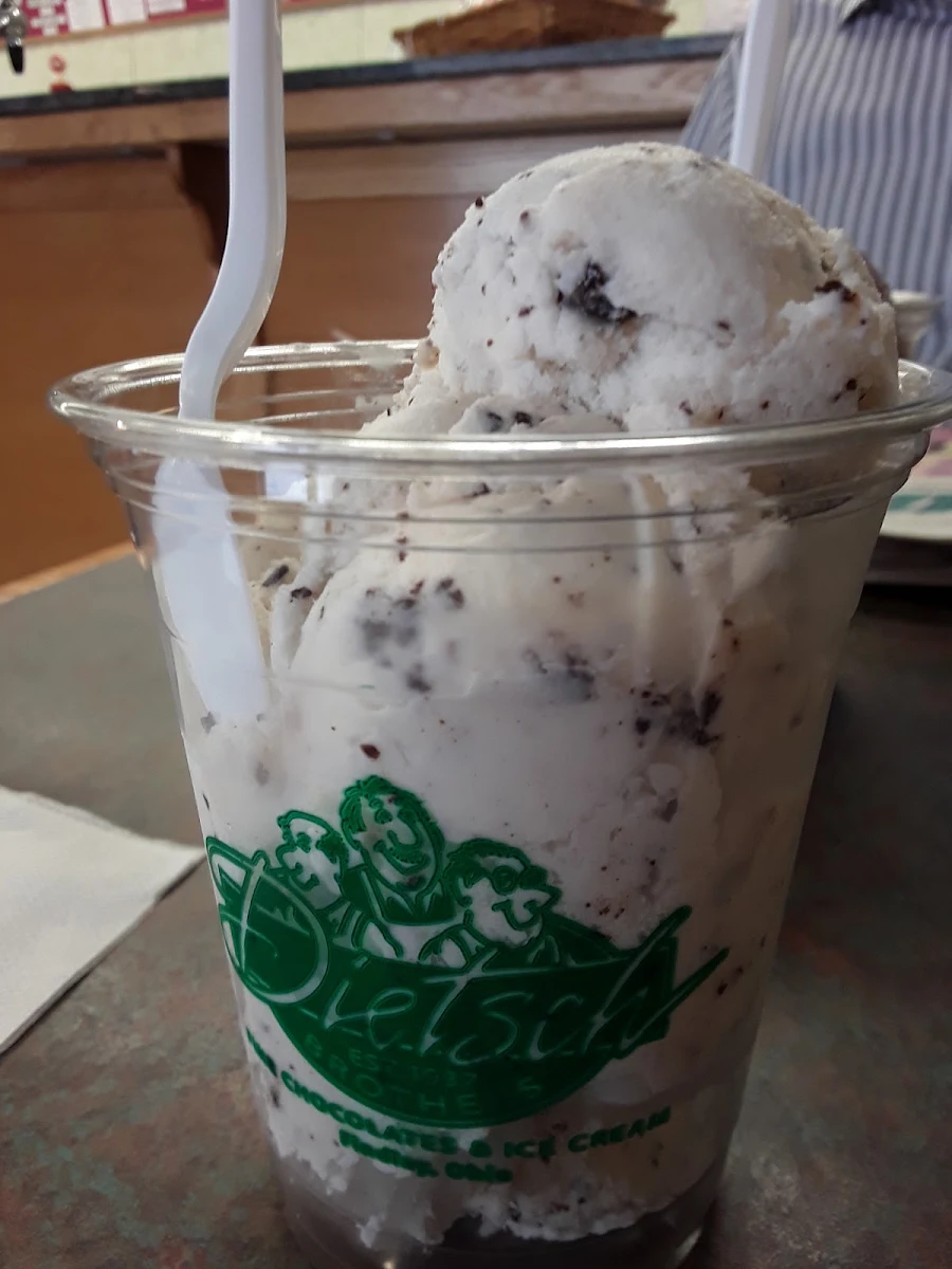 Chocolate Chip Ice Cream