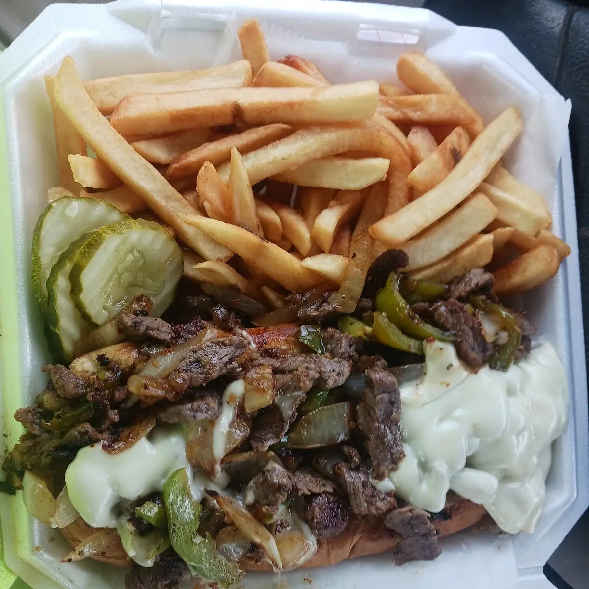Philly Cheese Steak and Fries