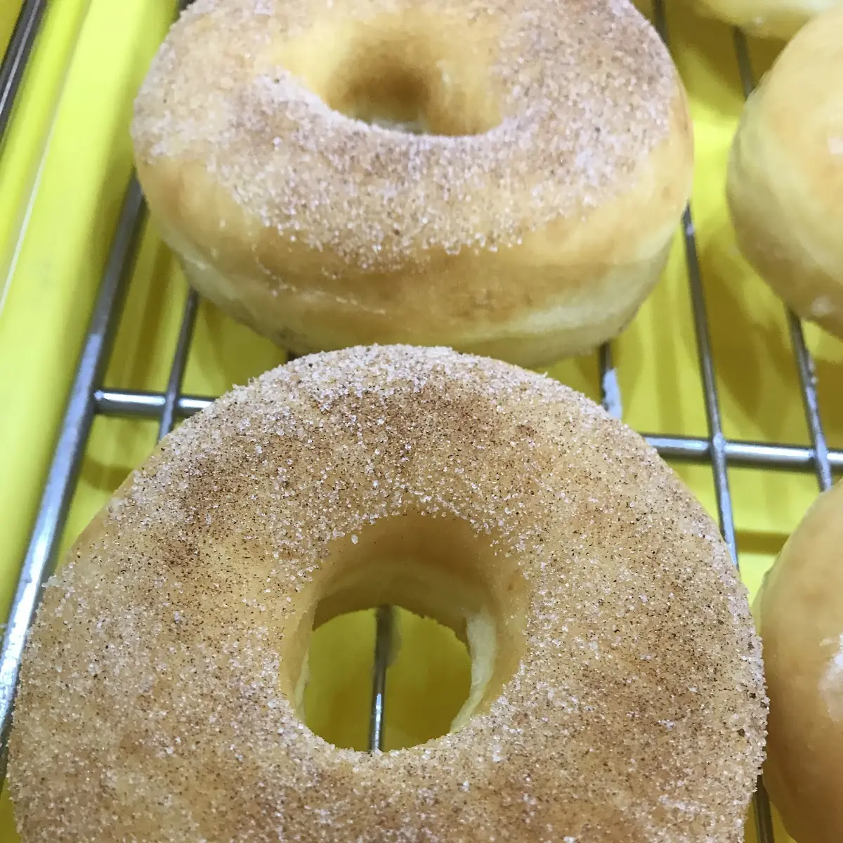 Cider Doughnut