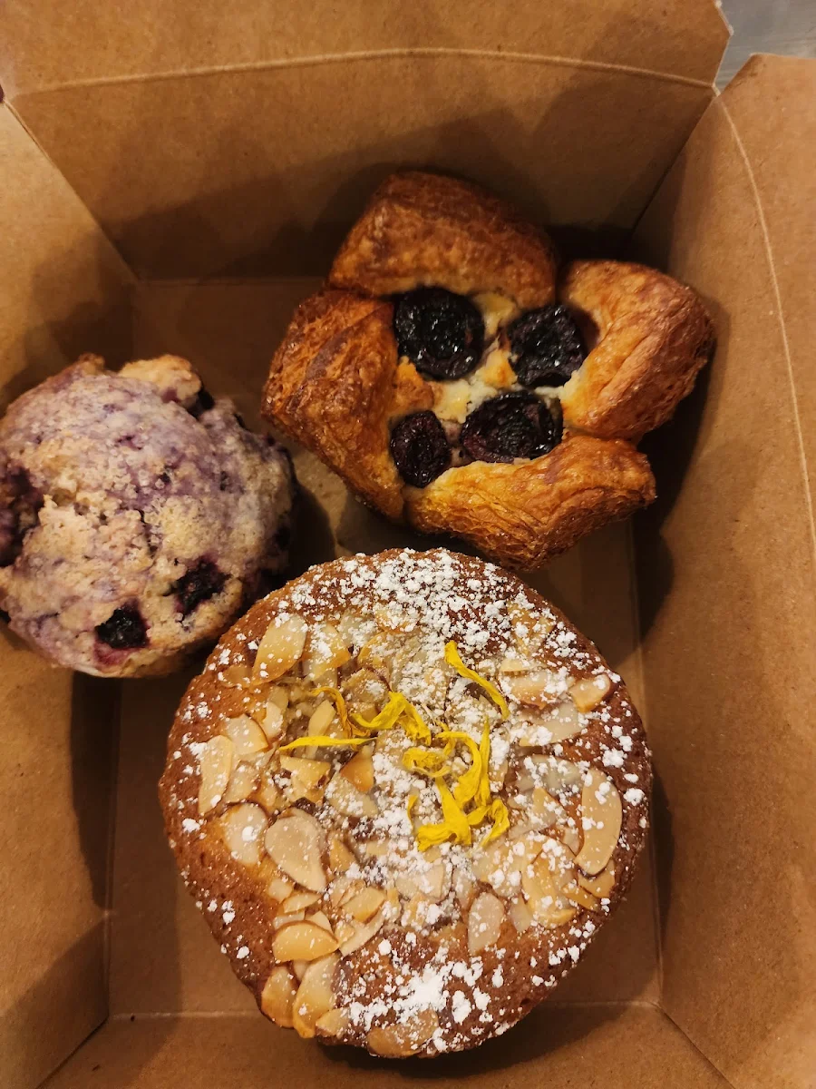 Blueberry Muffin