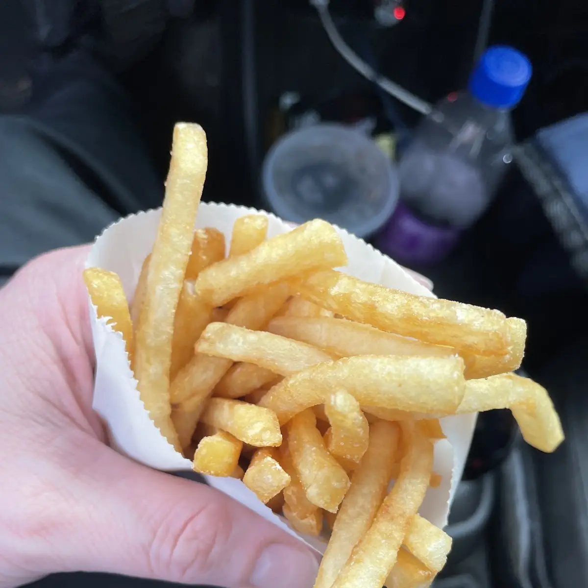 World Famous Fries