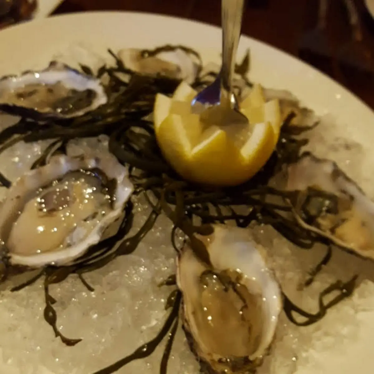 Oysters