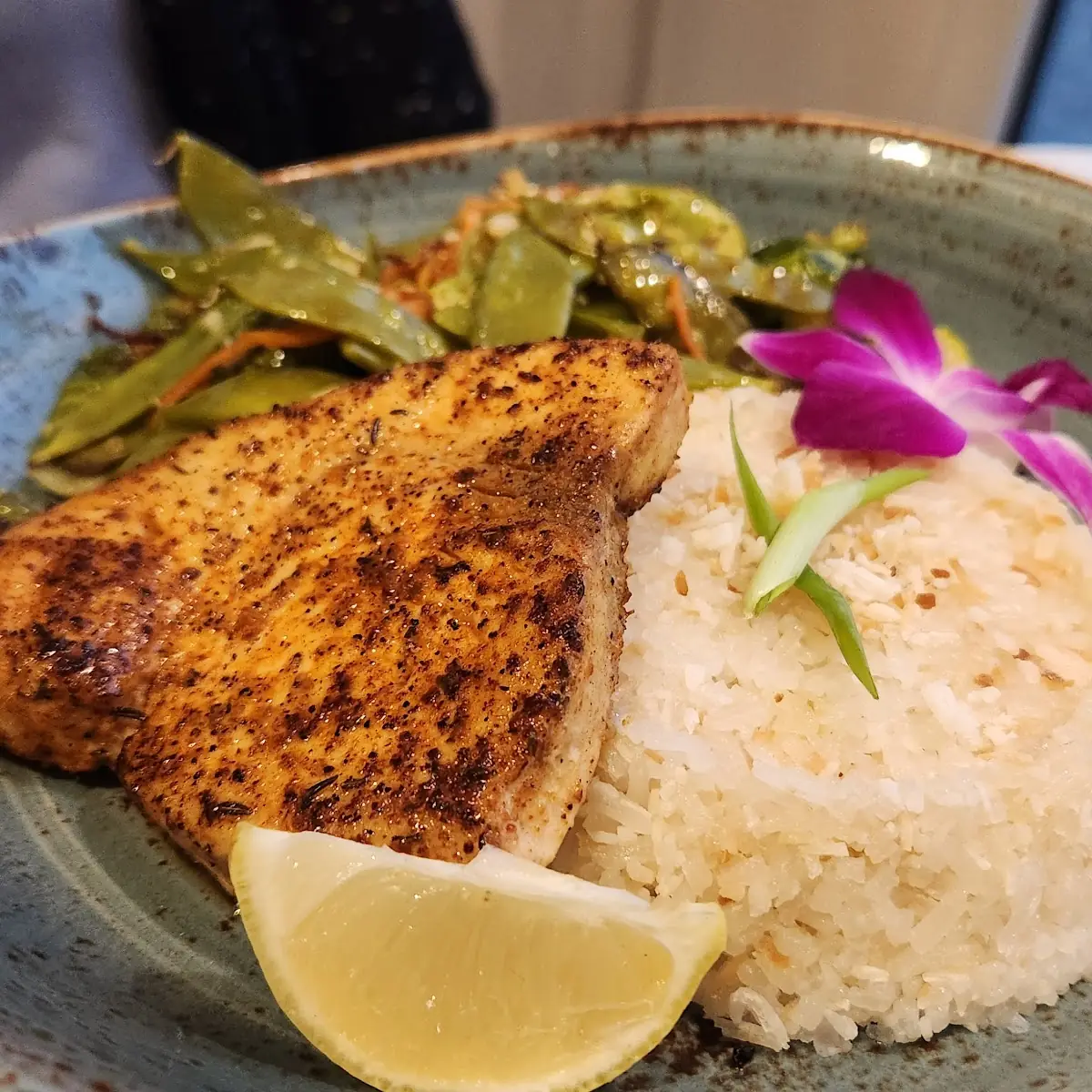 Pan Seared Catch of the Day