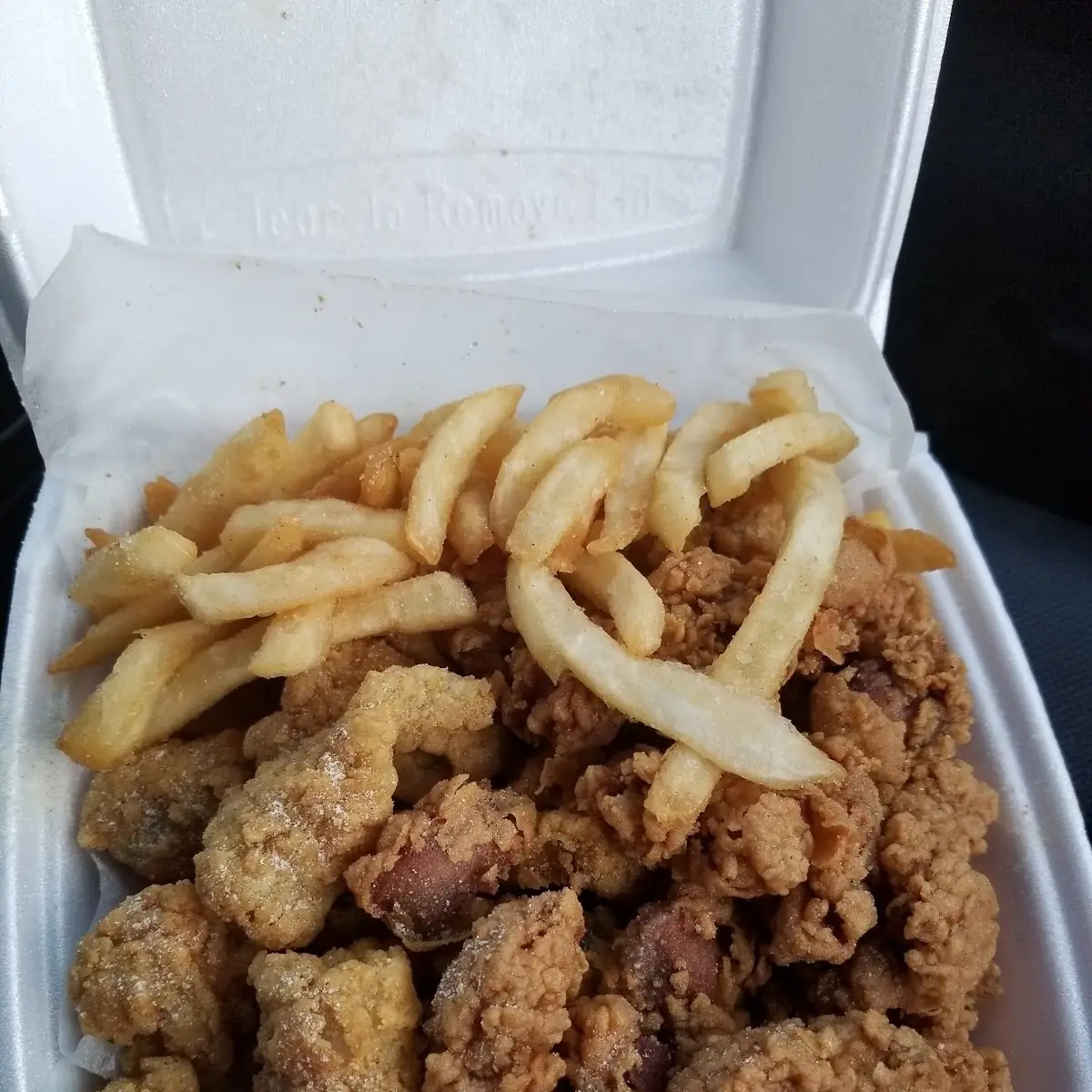 Lemon Pepper Catfish Fillets with Fries