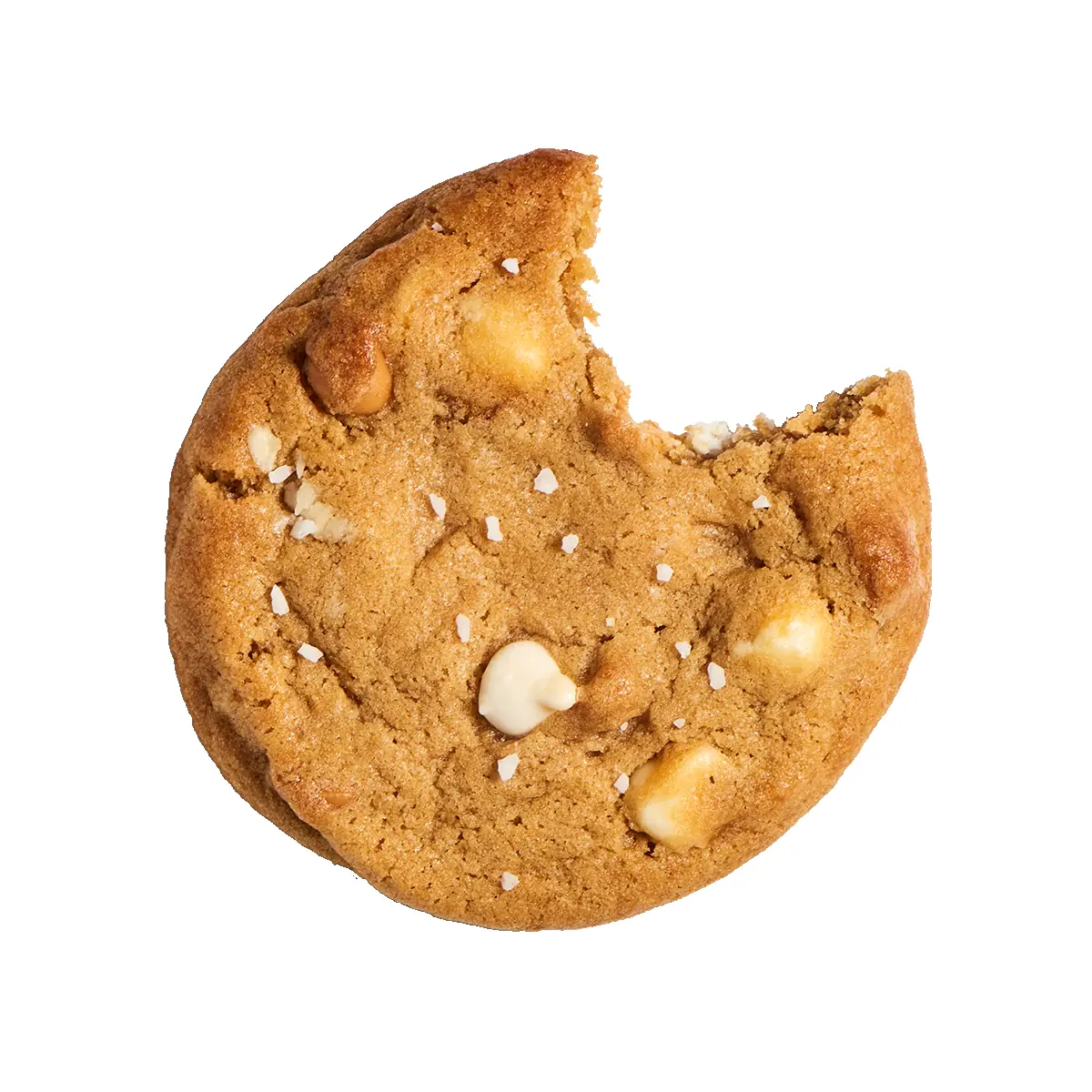 Chocolate Chip Cookie