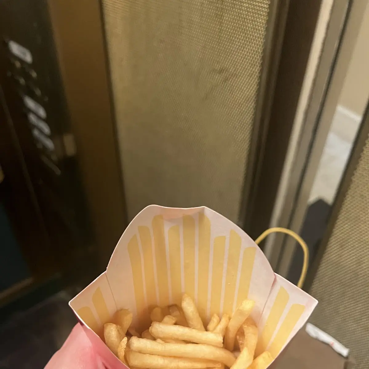 World Famous Fries