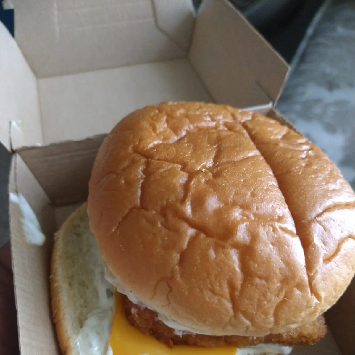 Fish Filet