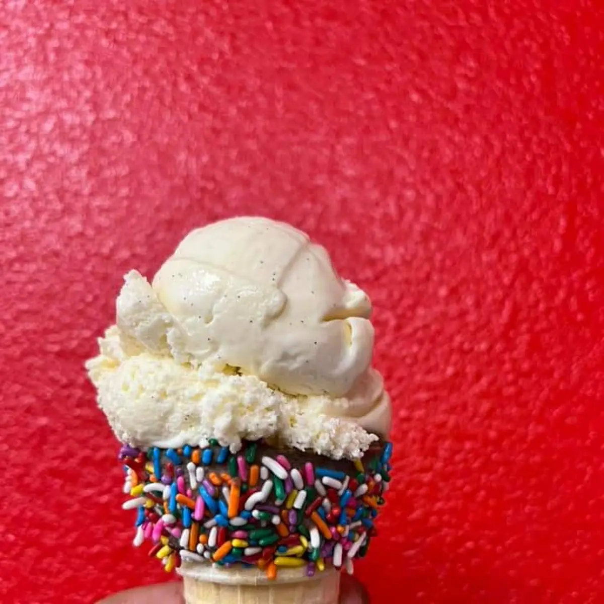 Vanilla Bean