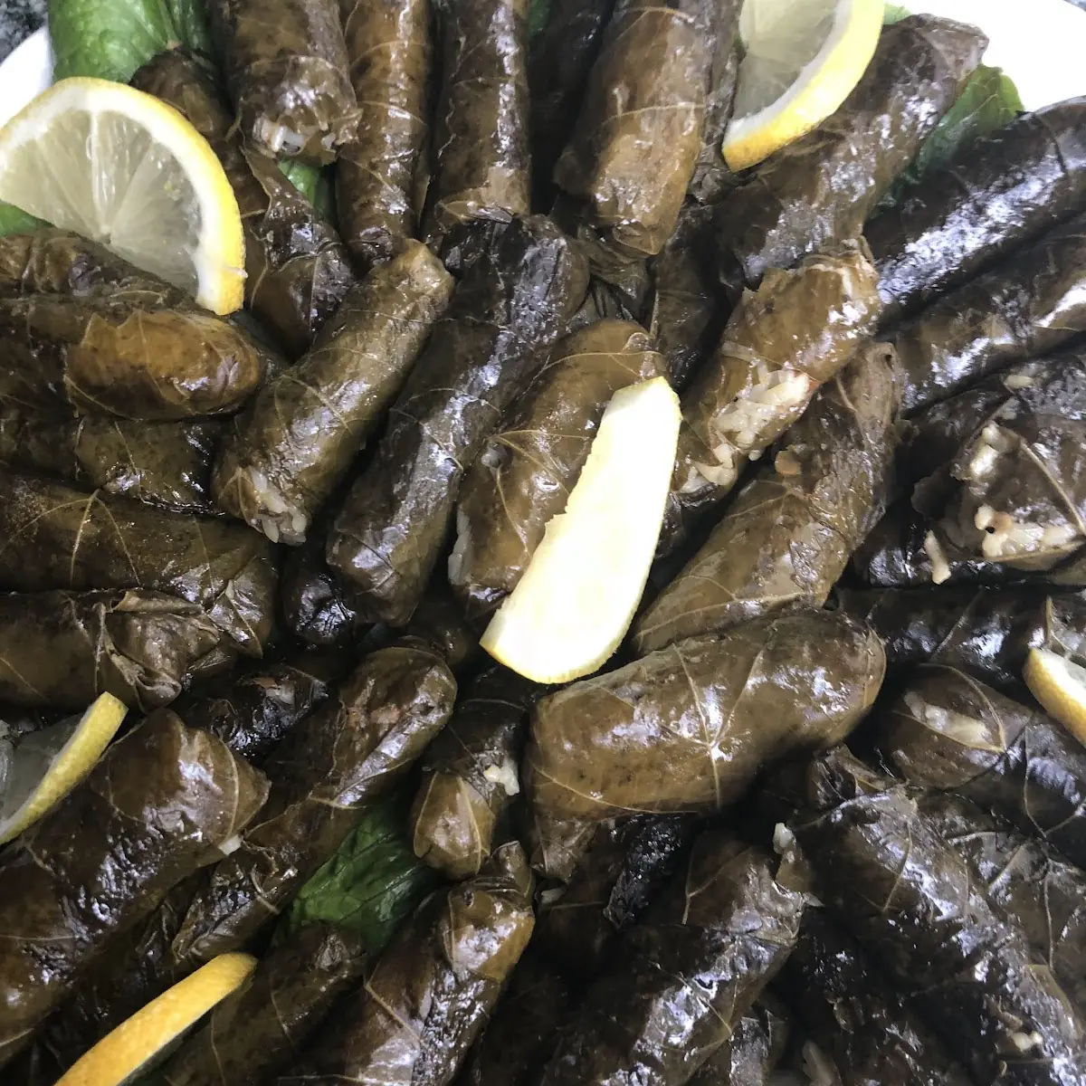 Stuffed Grape Leaves Dolmas Pack of 4
