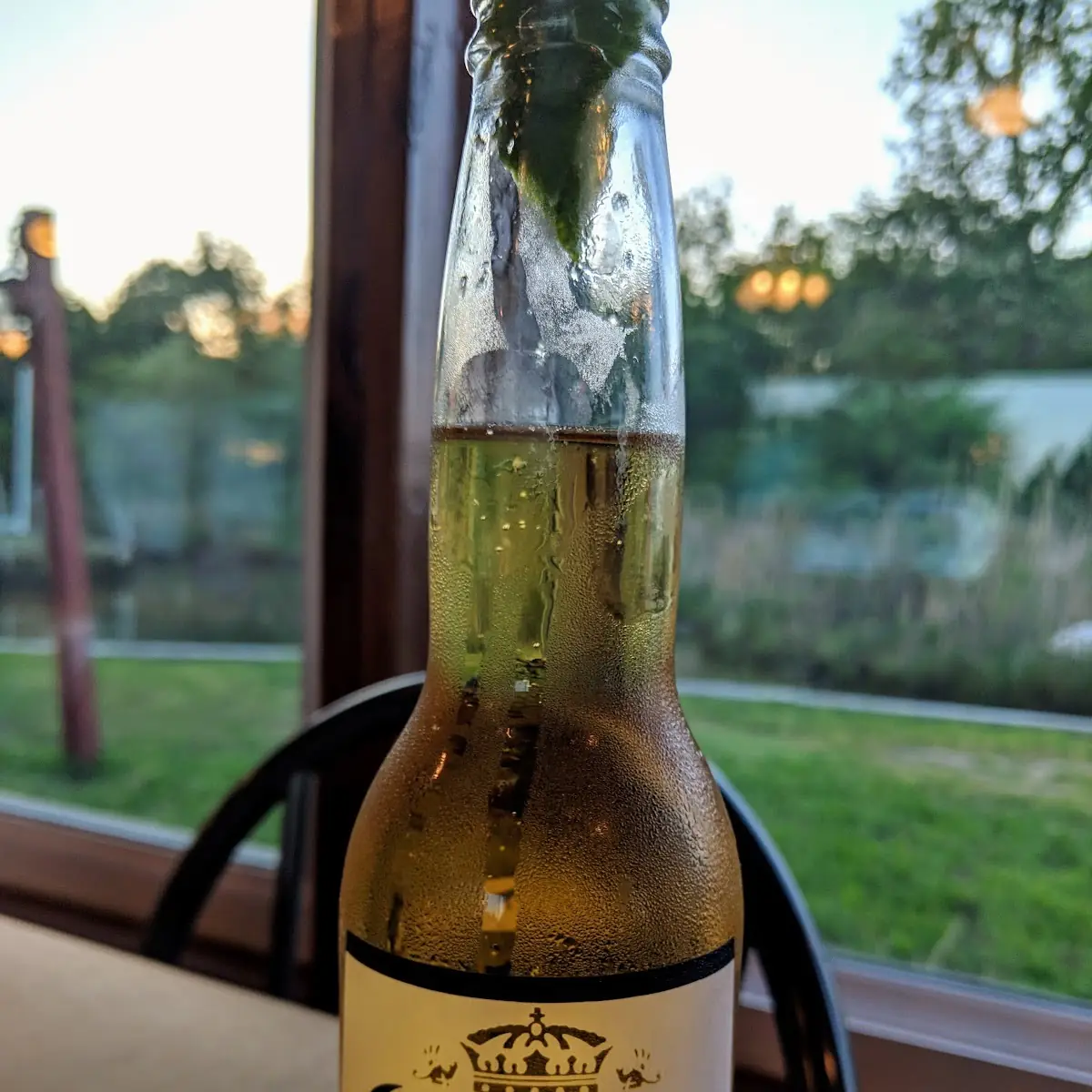Corona Premier