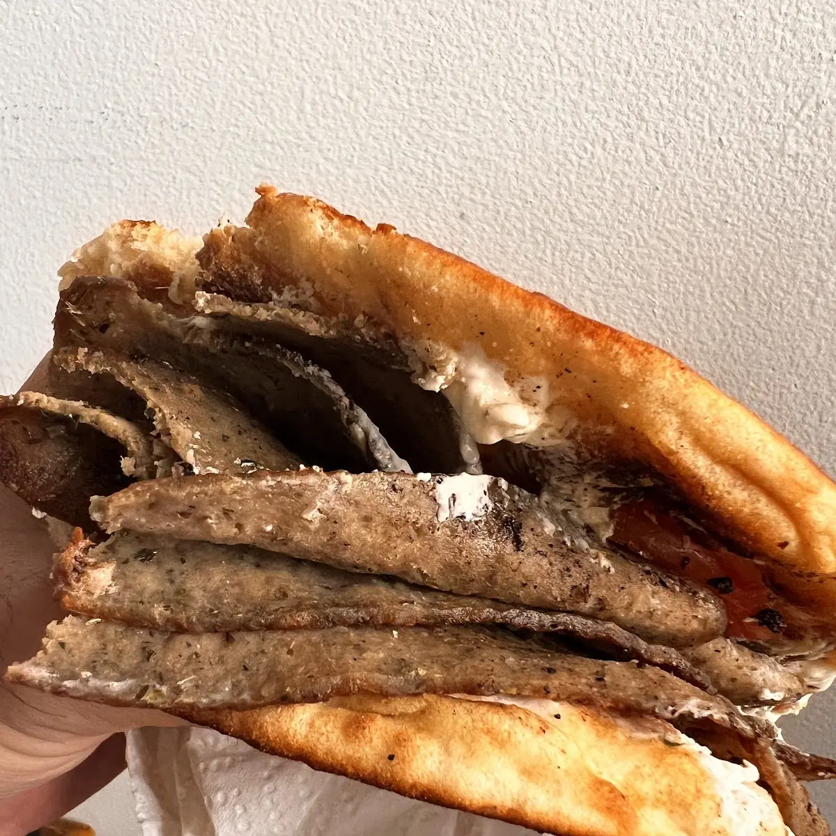 Beef Pita Bread