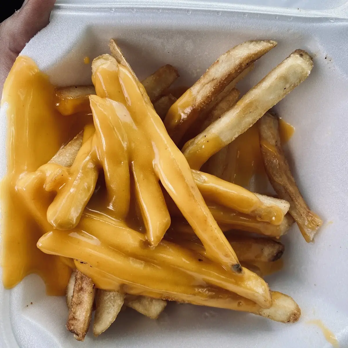 Cheese Fries