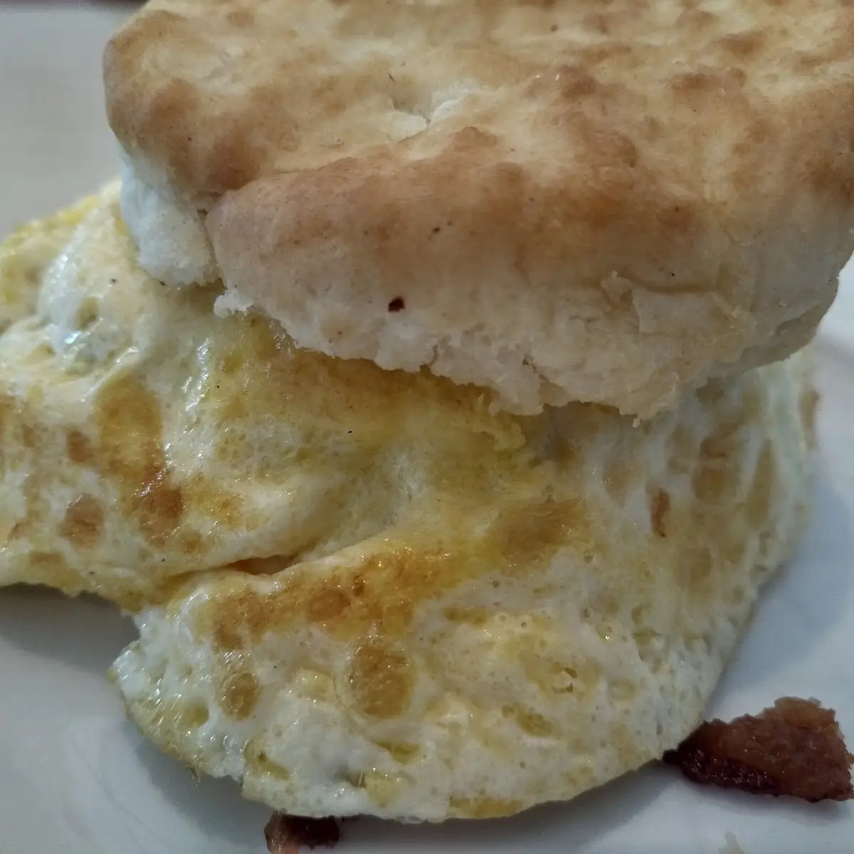 Egg and Cheese Biscuit
